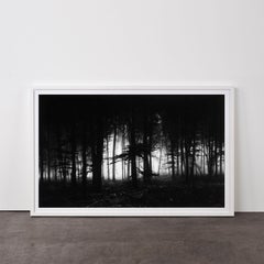 Forest of Doxa - Contemporary, 21st Century, Pigment Print, Limited Edition