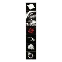Robert Longo, Essentials: 2009, Signed Print, Contemporary, Photorealistic Art
