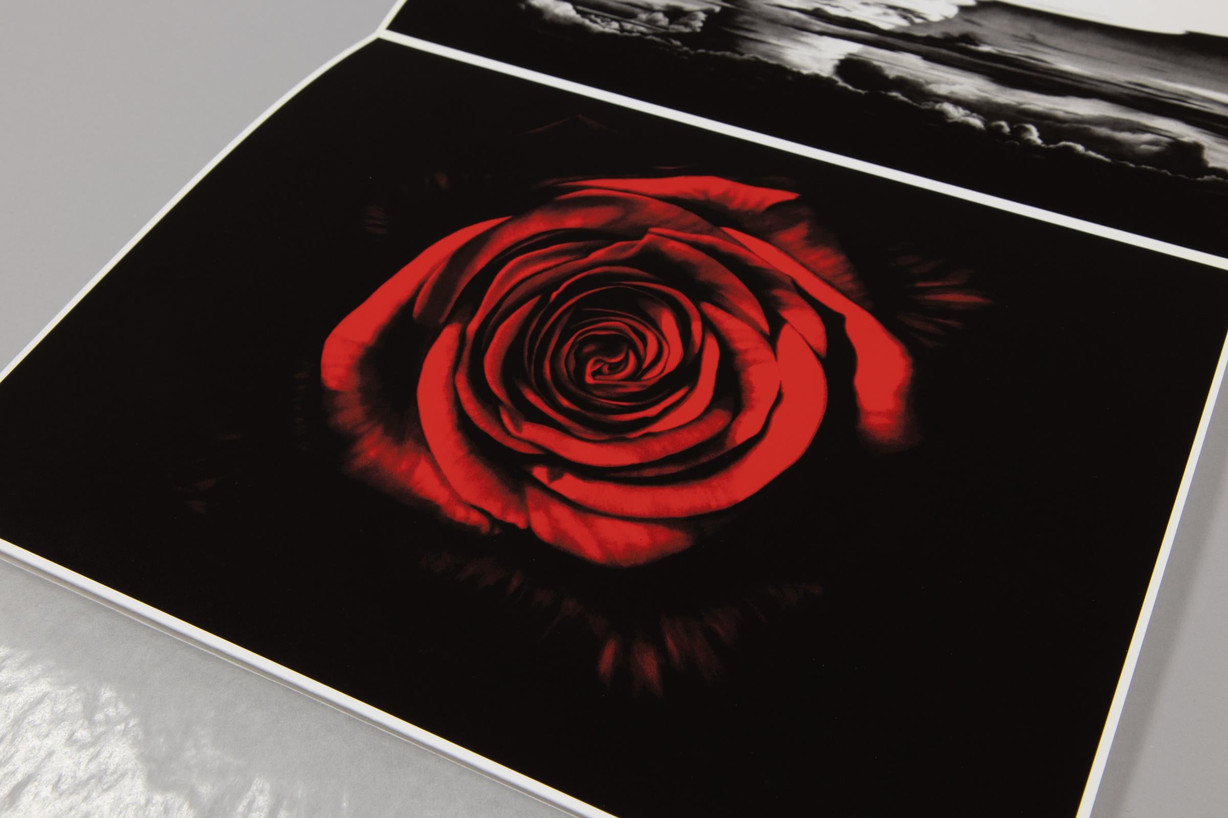 Robert Longo, Essentials For Sale 3