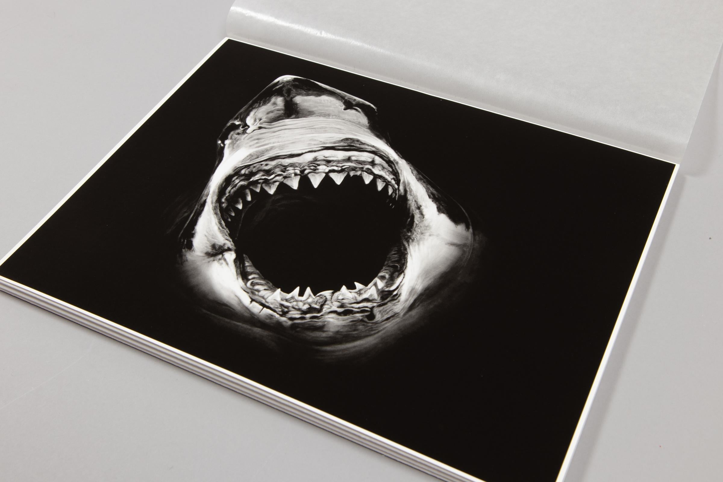 Robert Longo, Essentials For Sale 7