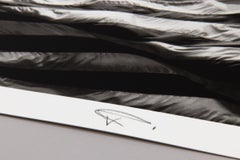 Robert Longo, Falling Flag, Signed Print