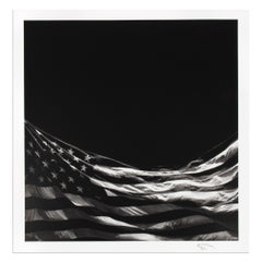 Robert Longo, Falling Flag, Signed Print