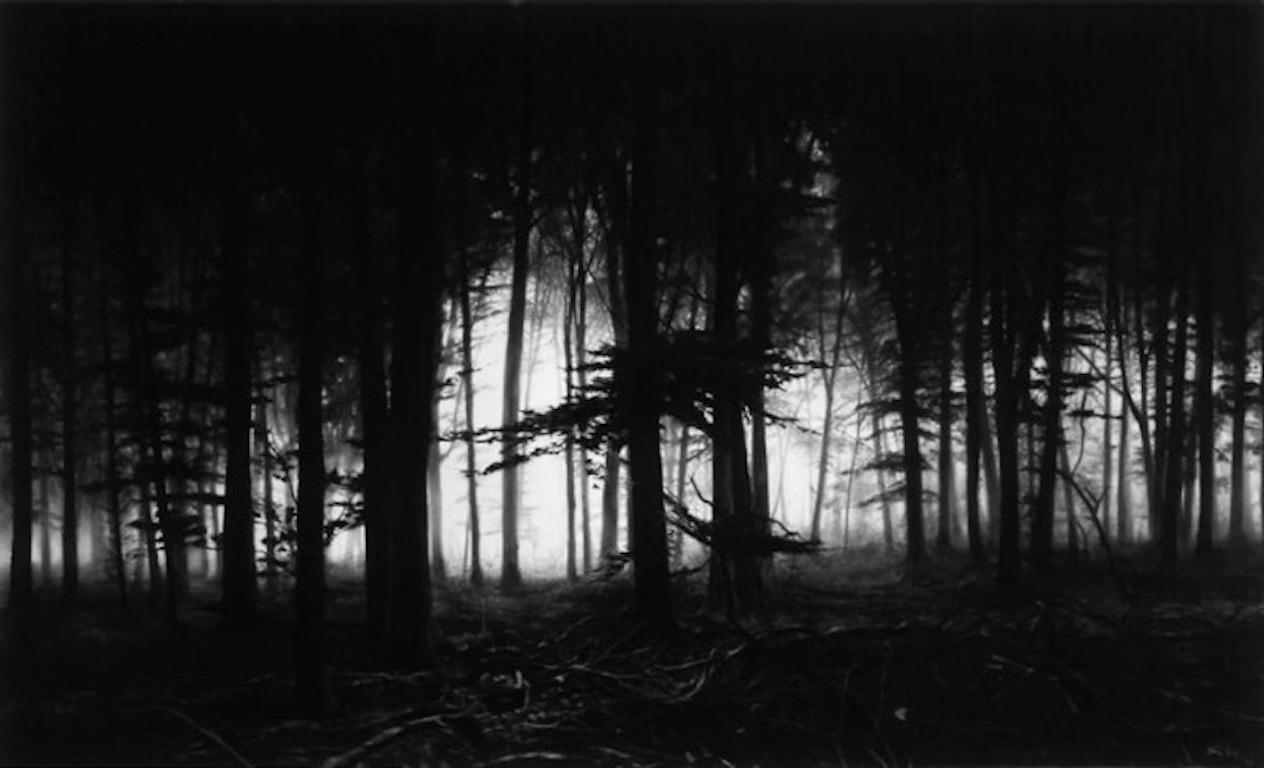 Robert Longo
Forest of Doxa 2014
Pigment Print
Edition of 25
36.7" x 59.7" in
Signed and numbered 





Robert Longo burst onto the New York art scene as a brash 25-year-old with “Men in the Cities,” his iconic 1983 large-scale charcoal drawings of