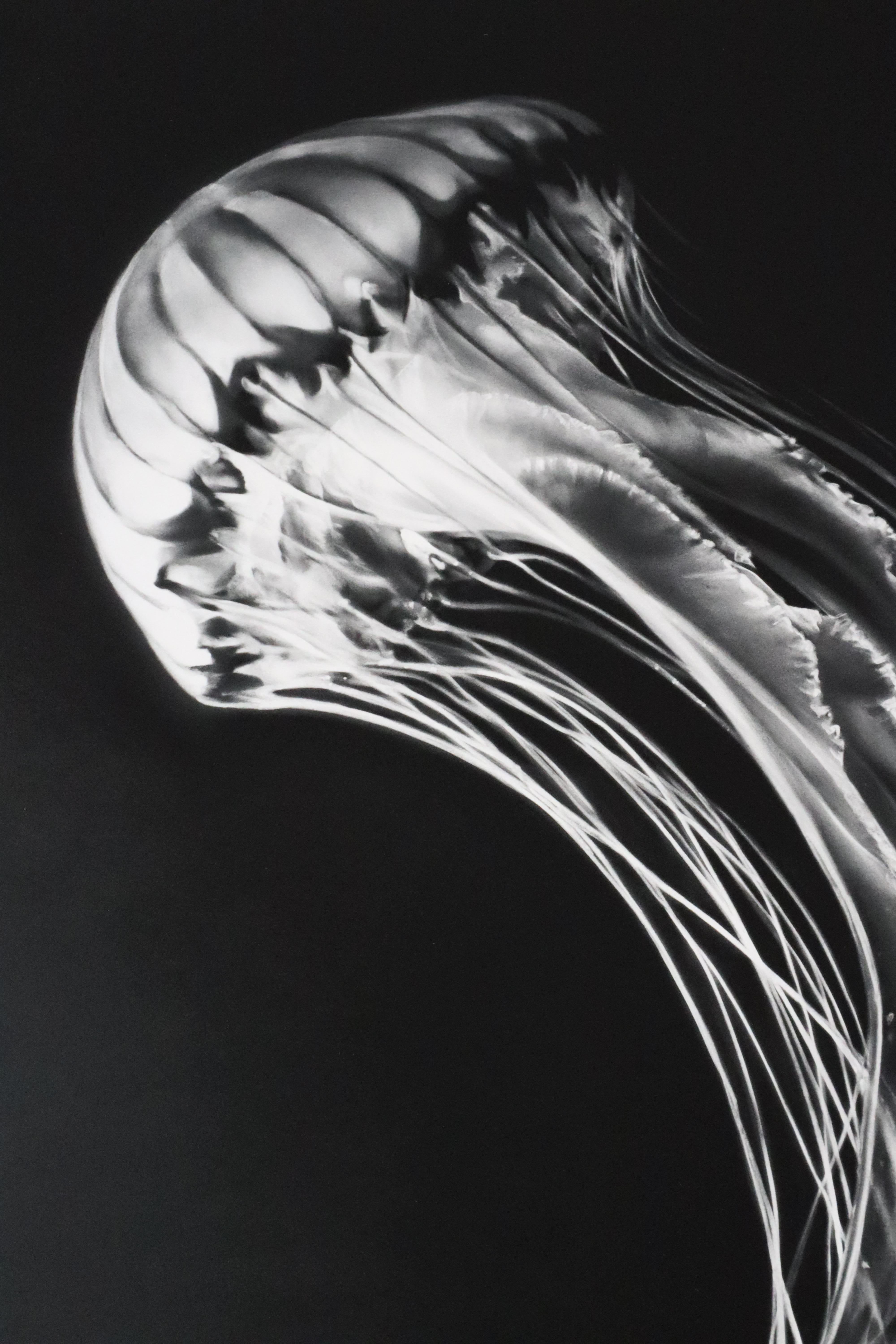 Rumi par Robert Theo, Contemporain, 21ème siècle, Edition limitée - Print de Robert Longo