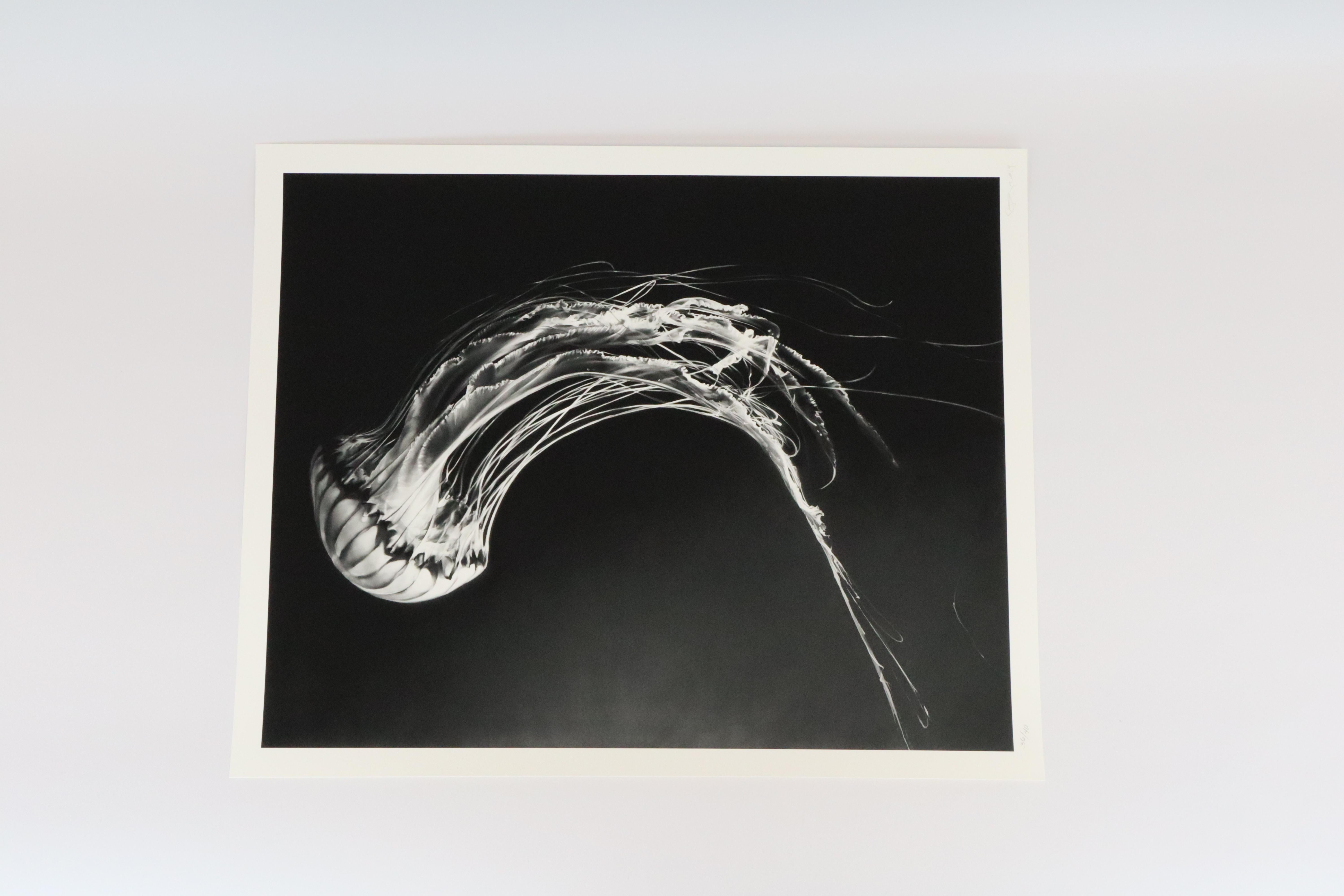 Rumi par Robert Theo, Contemporain, 21ème siècle, Edition limitée - Noir Portrait Print par Robert Longo