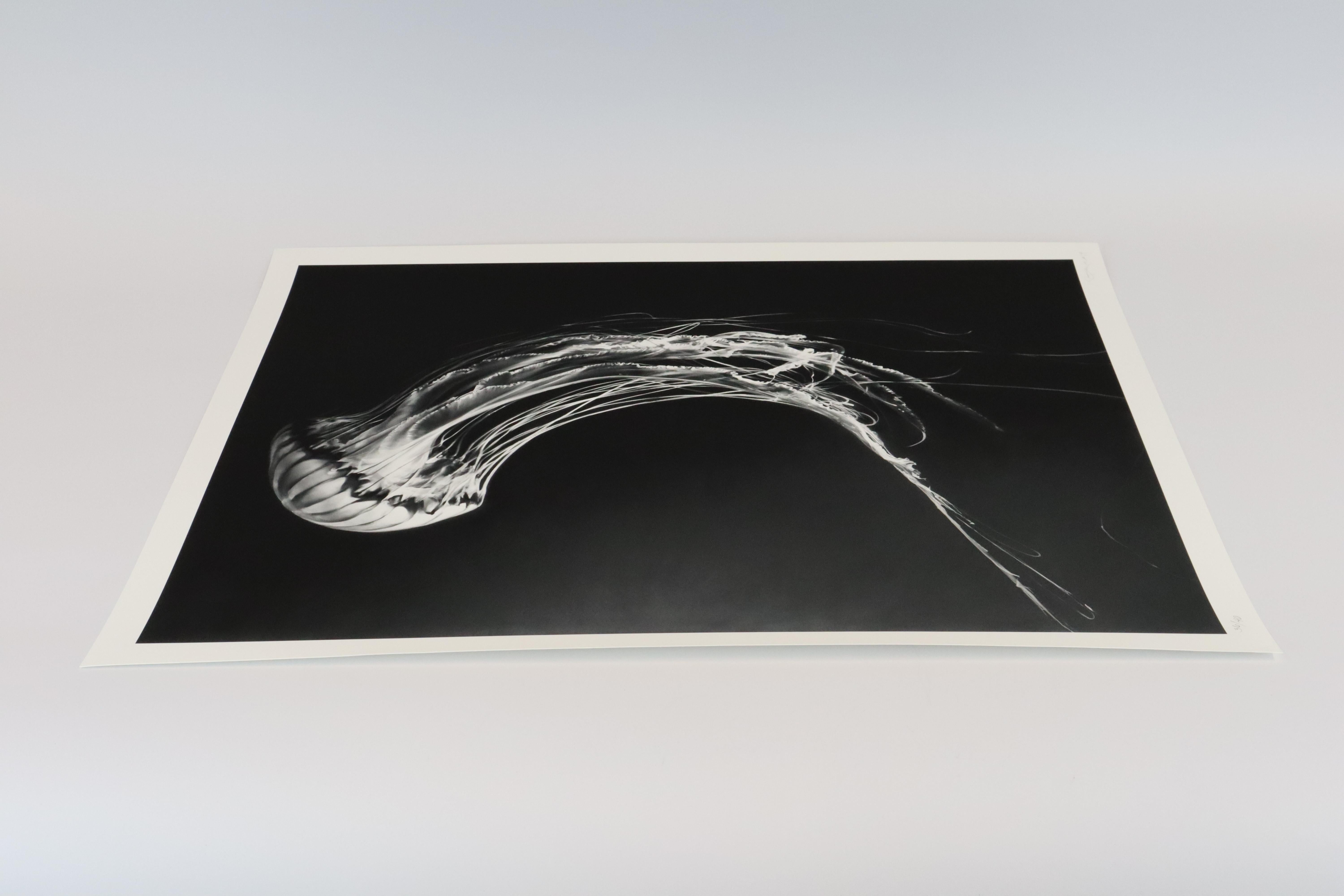 Robert Longo
Rumi
2019
Impression au pigment d'archivage
71.1 × 55.8 cm
(28 × 22 in)
Signé et numéroté
Edition de 40 exemplaires
En excellent état.

REMARQUE : les numéros d'édition peuvent varier par rapport à ceux qui figurent sur les images. 
Les