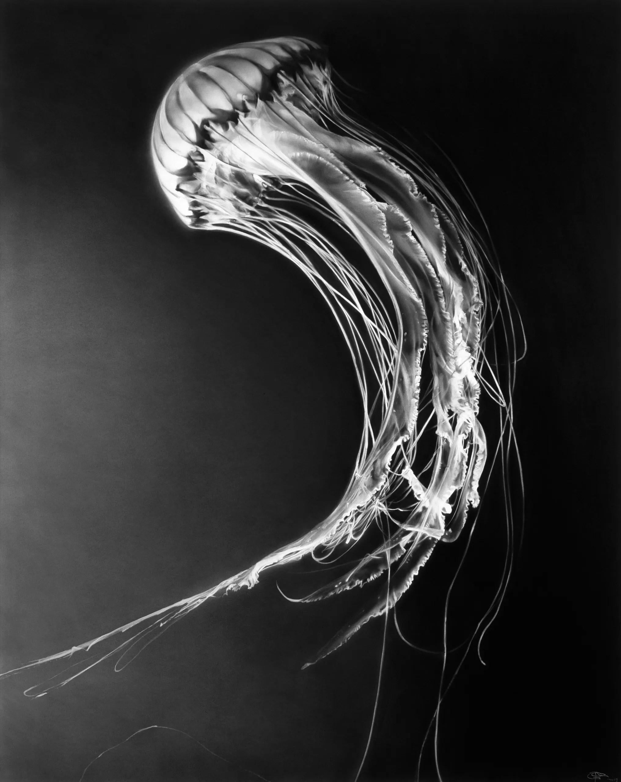 Portrait Print Robert Longo - Rumi par Robert Theo, Contemporain, 21ème siècle, Edition limitée