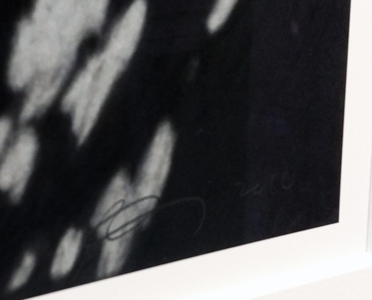 UNBETITELT (ARIANE) (Pop-Art), Print, von Robert Longo