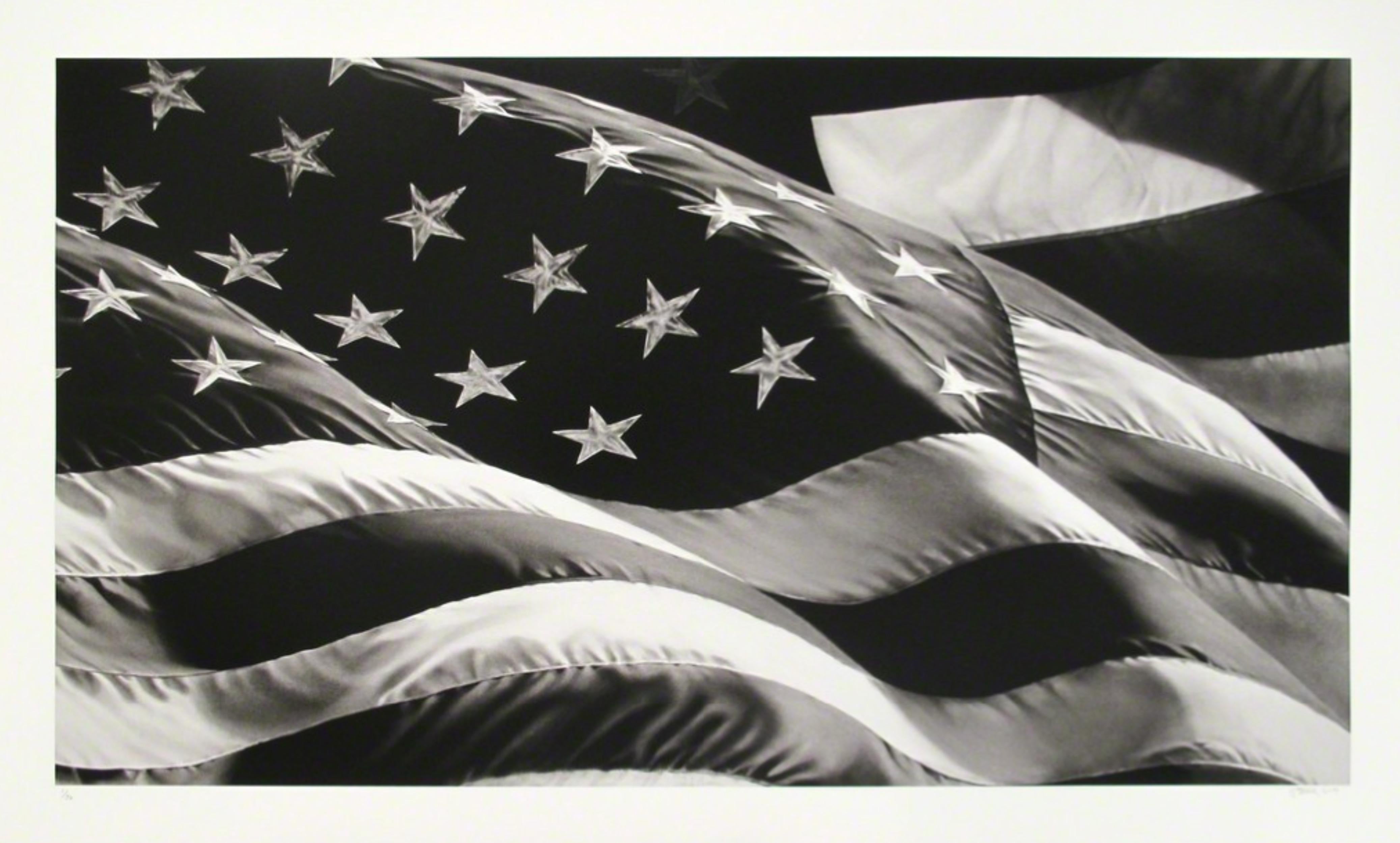 Untitled (Flag) - Print by Robert Longo