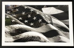 "Untitled (Flag)" Original Hand Signed Giclee 2013