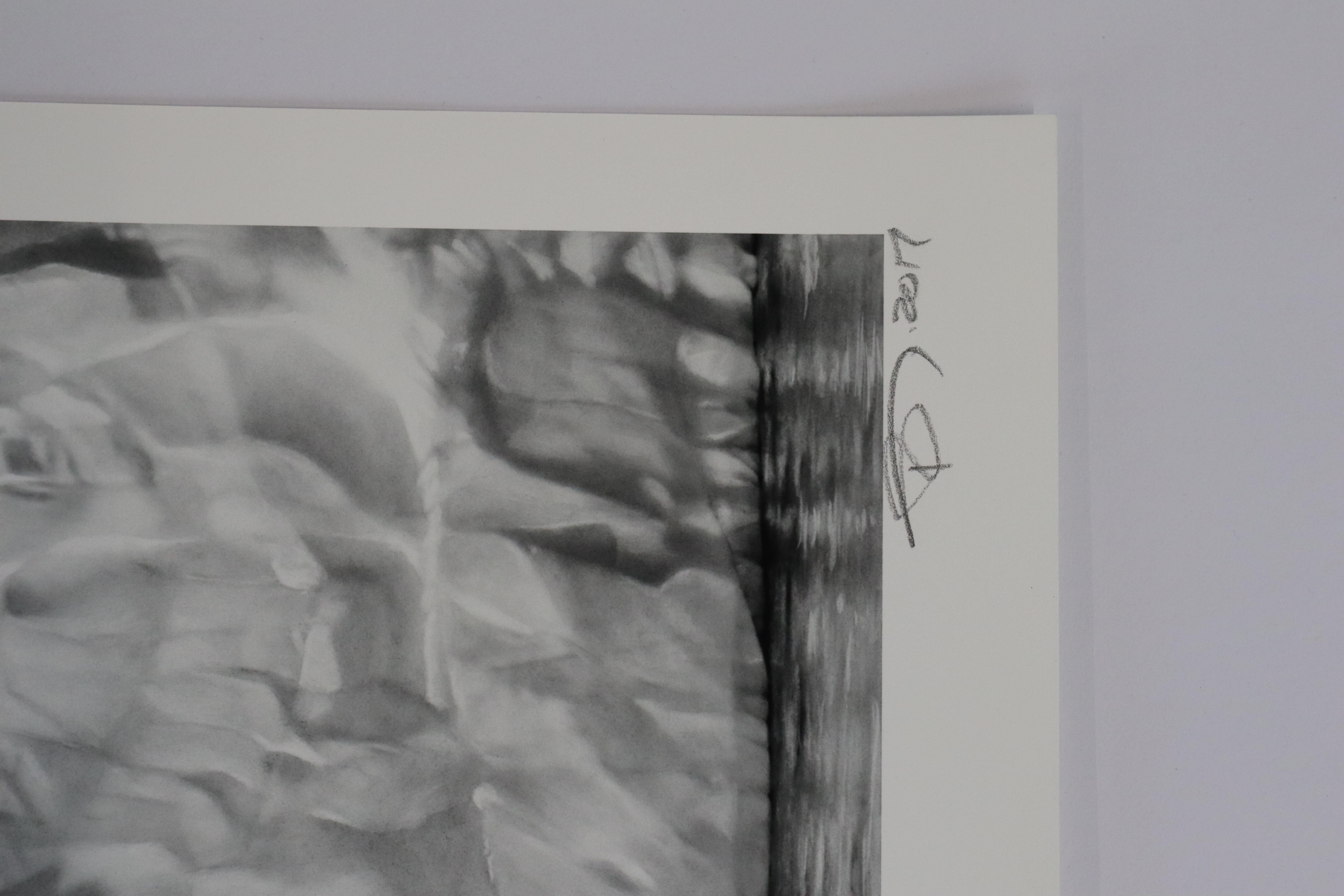 Wall of Ice by Robert Longo, Contemporary, 21st Century, Limited Edition For Sale 3