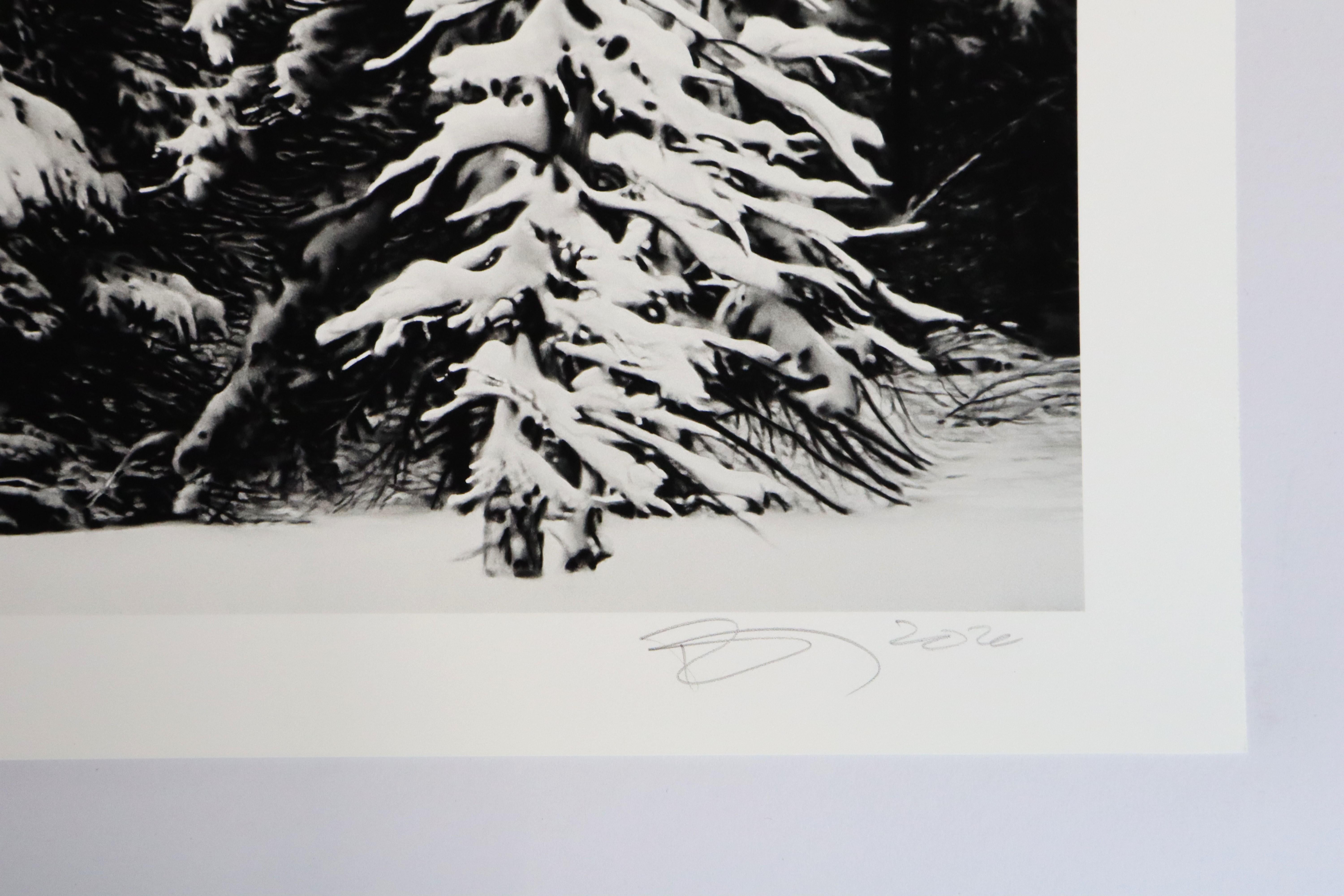 White Snow Trees of the Black Forest by Robert Longo For Sale 3