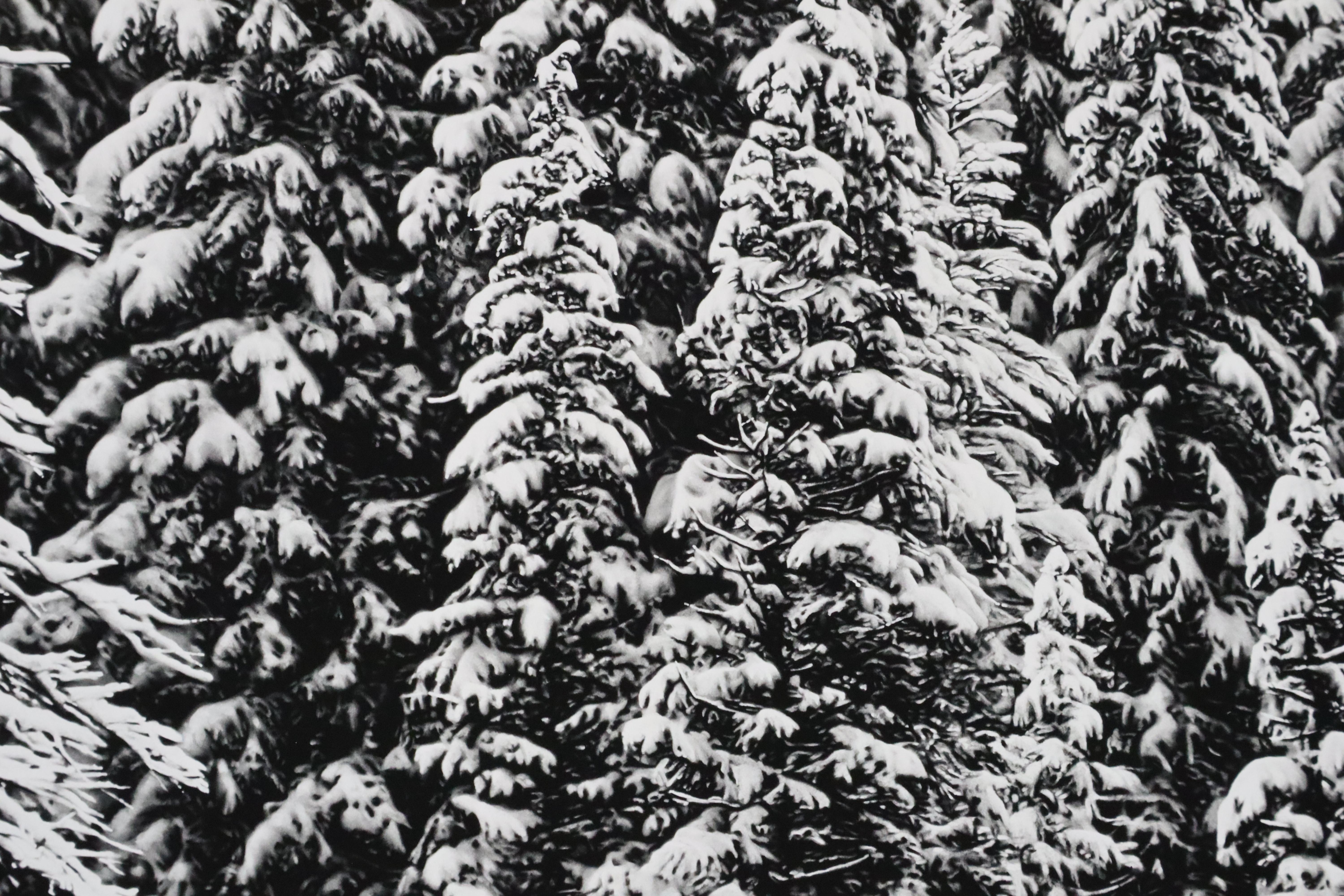 White Snow Trees of the Black Forest by Robert Longo For Sale 4