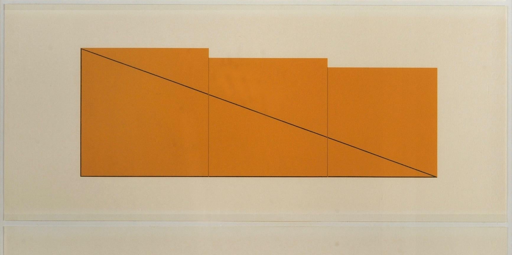 Multiple Panel Paintings - Abstract Geometric Print by Robert Mangold