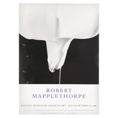 affiche de l'exposition américaine "Robert Mapplethorpe" de 1988