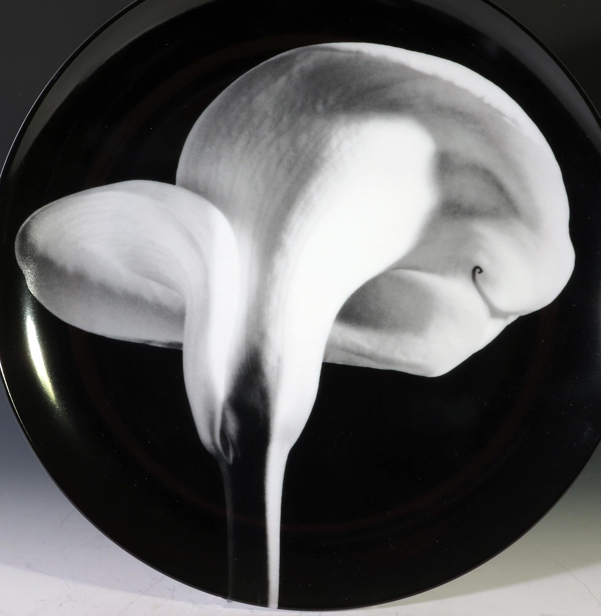 Plaque botanique de Robert Mapplethorpe,
Lys Calla, 1984
Fabriqué par Swid Powell

L'assiette en porcelaine de Robert Mapplethorpe représente en noir et blanc un lis Calla Lily réalisé en 1984.  Il s'agit d'une porcelaine imprimée lithographiquement