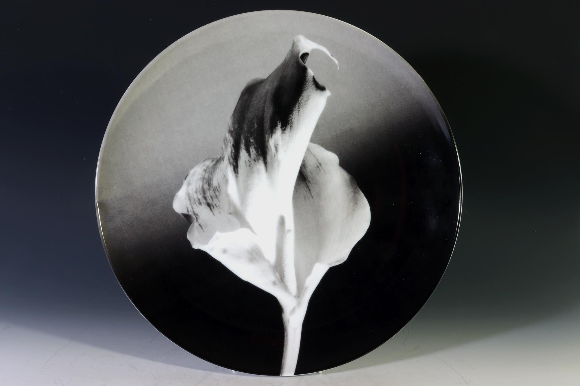 Plaque botanique de Robert Mapplethorpe,
Fleur, 1986
Fabriqué par Swid Powell

L'assiette en porcelaine Robert Mapplethorpe représente en noir et blanc une fleur datée au verso 1987.  Il s'agit d'une porcelaine imprimée lithographiquement d'après la