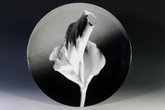 Robert Mapplethorpe Botanical Porcelain Plate, Flower, 1986