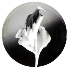 Plato de porcelana botánica Robert Mapplethorpe, Flor, 1986