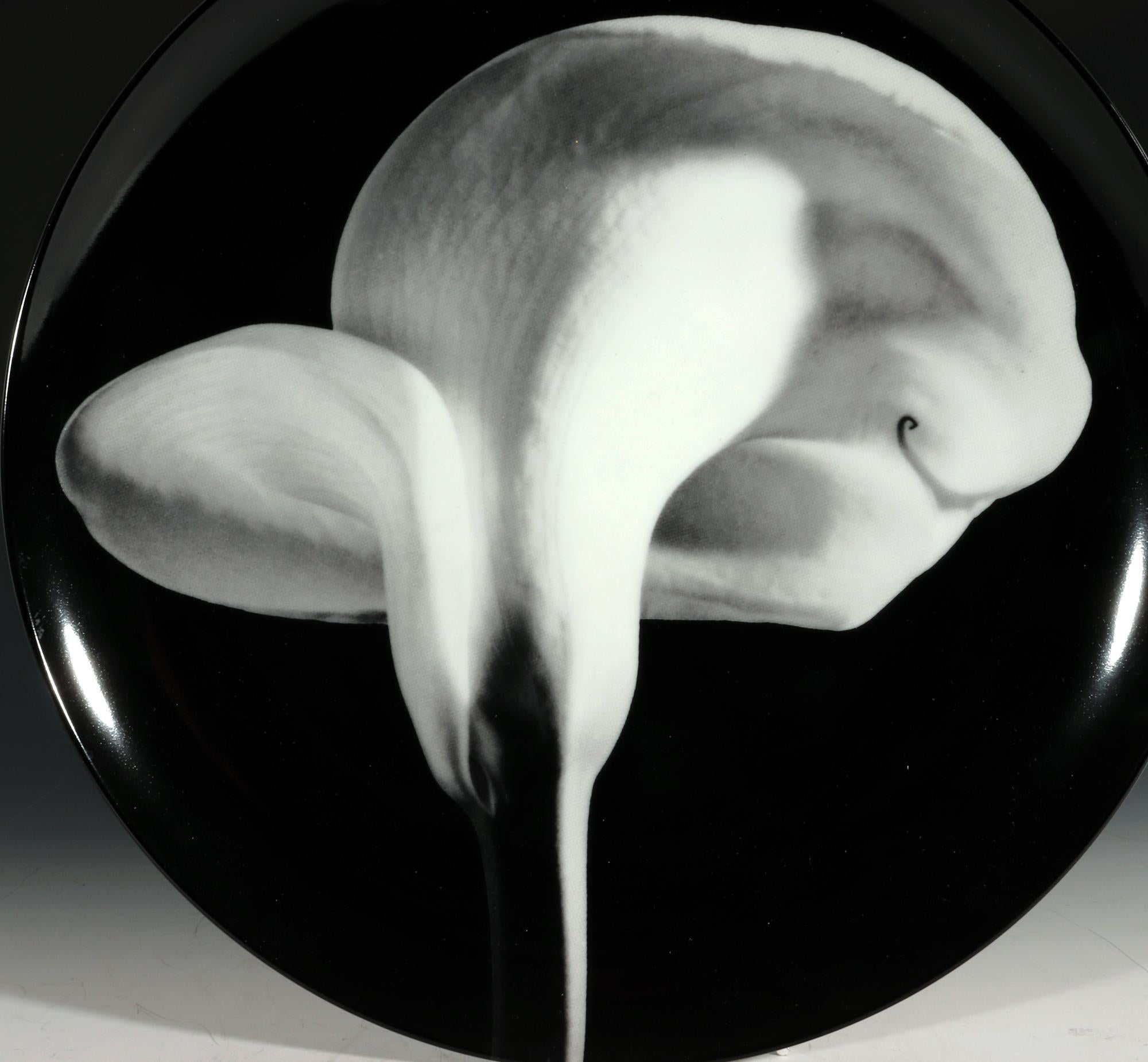 Robert Mapplethorpe Botanical Plate,
Orchid, 1987
Made for Swid Powell,

The Robert Mapplethorpe plate depicts an Orchid made in 1987. It is lithographically printed porcelain based on Robert Mapplethorpe's photographs and made by Swid