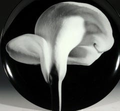 Robert Mapplethorpe Botanical Porcelain Large Plate, Orchid, 1987