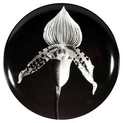 Robert Mapplethorpe Botanical Porcelain Plate, Orchid, 1987