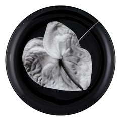 Robert Mapplethorpe Fine Bone China Plate - Limited Edition