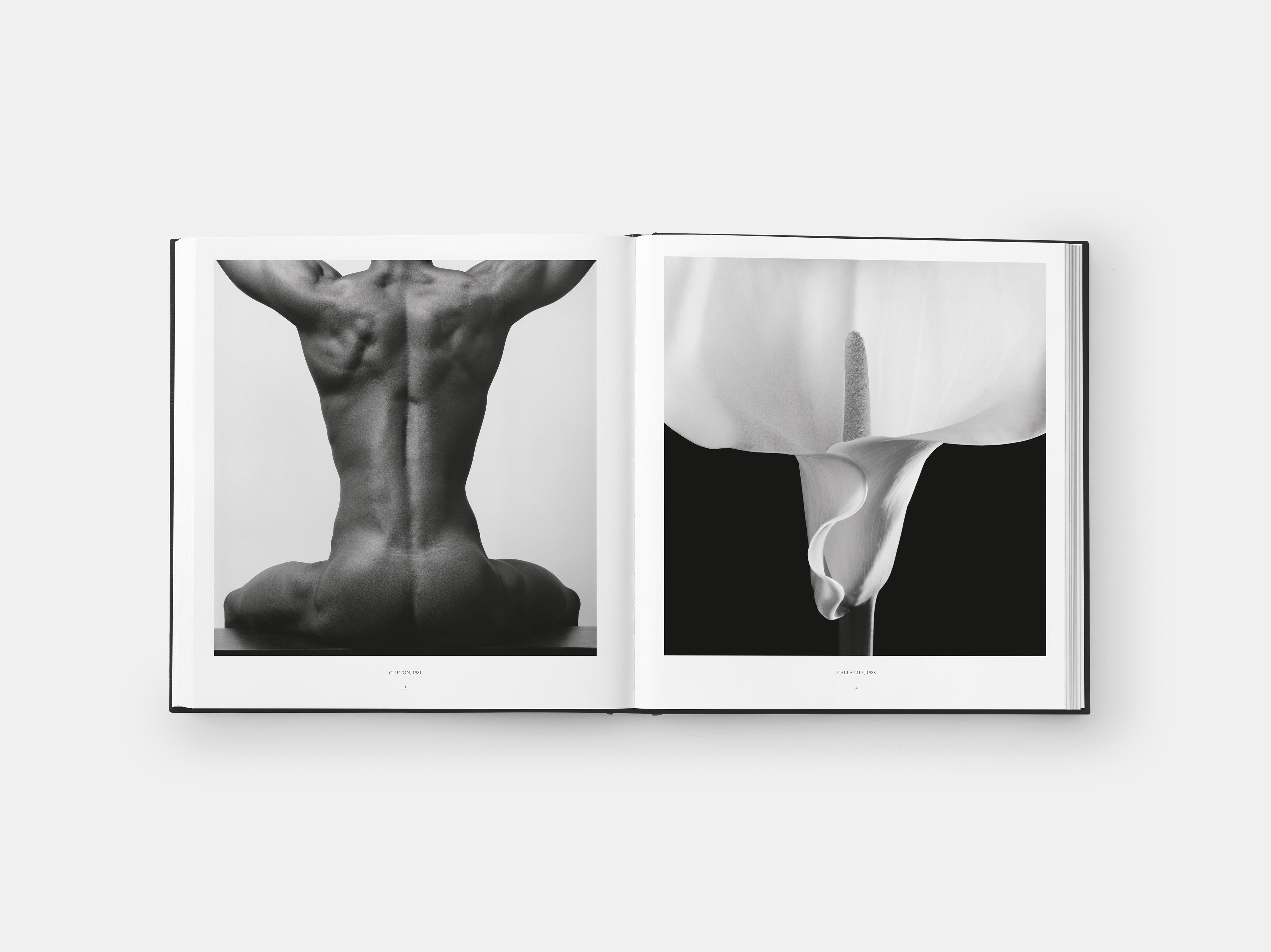 Robert Mapplethorpe For Sale 1