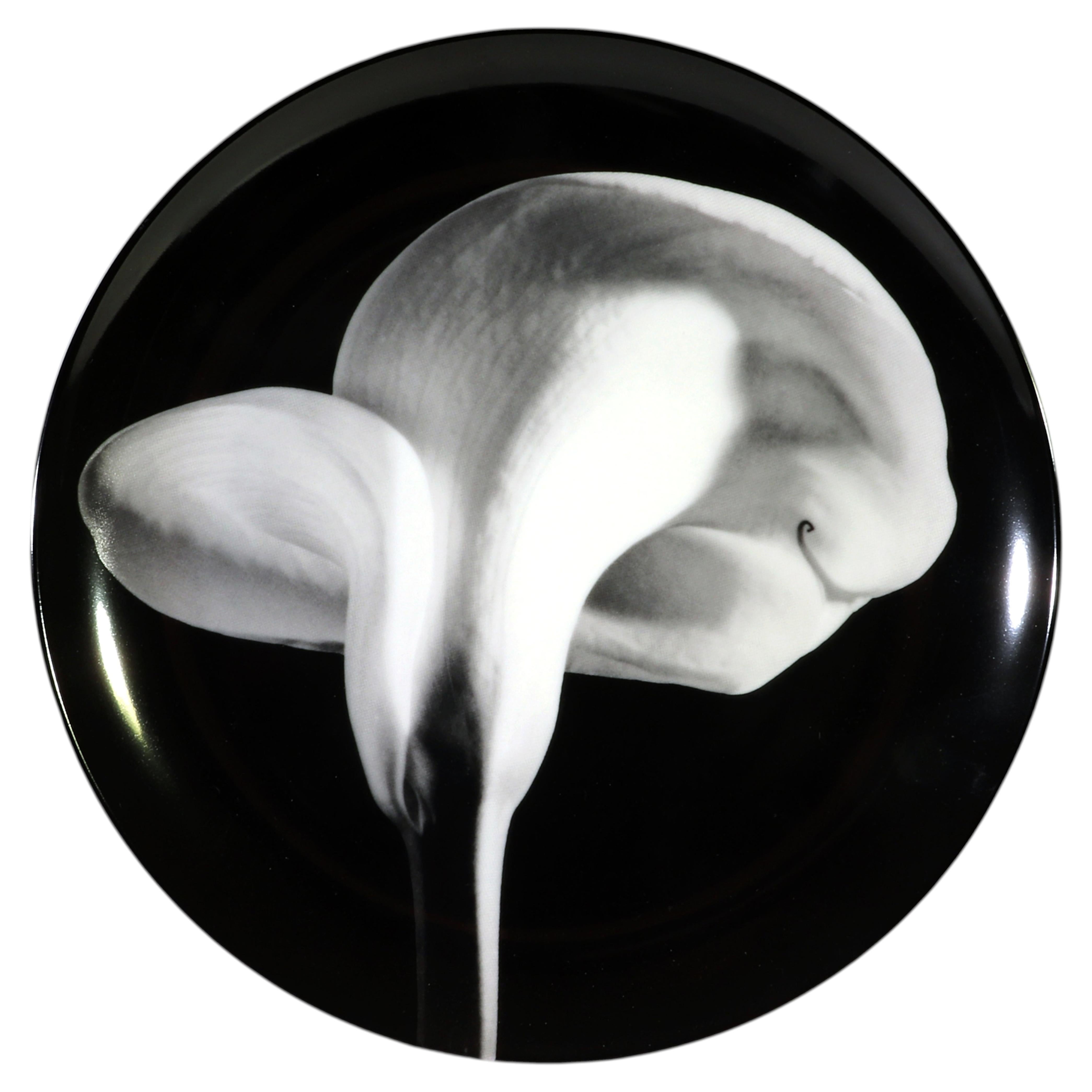 Robert Mapplethorpe for Swid Powell Porcelain Plate, Calla Lily, 1984 For Sale