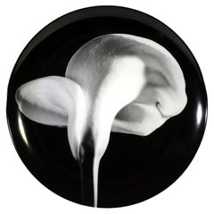 Robert Mapplethorpe for Swid Powell Porcelain Plate, Calla Lily, 1984