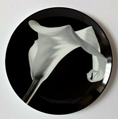 Limited Edition Calla Lily (Callalily) porcelain plate