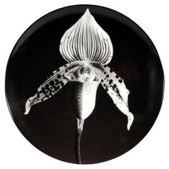 Robert Mapplethorpe Orchid Plate for Swid Powell, Porcelain, 1987