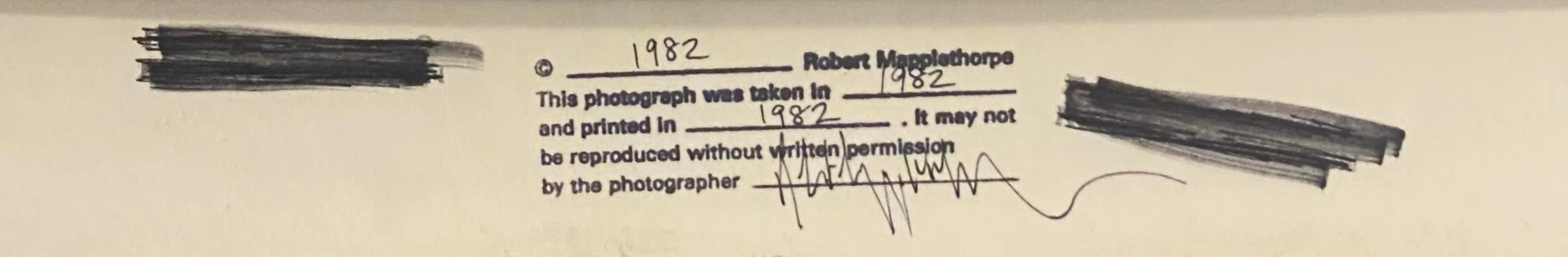 Mapplethorpe 