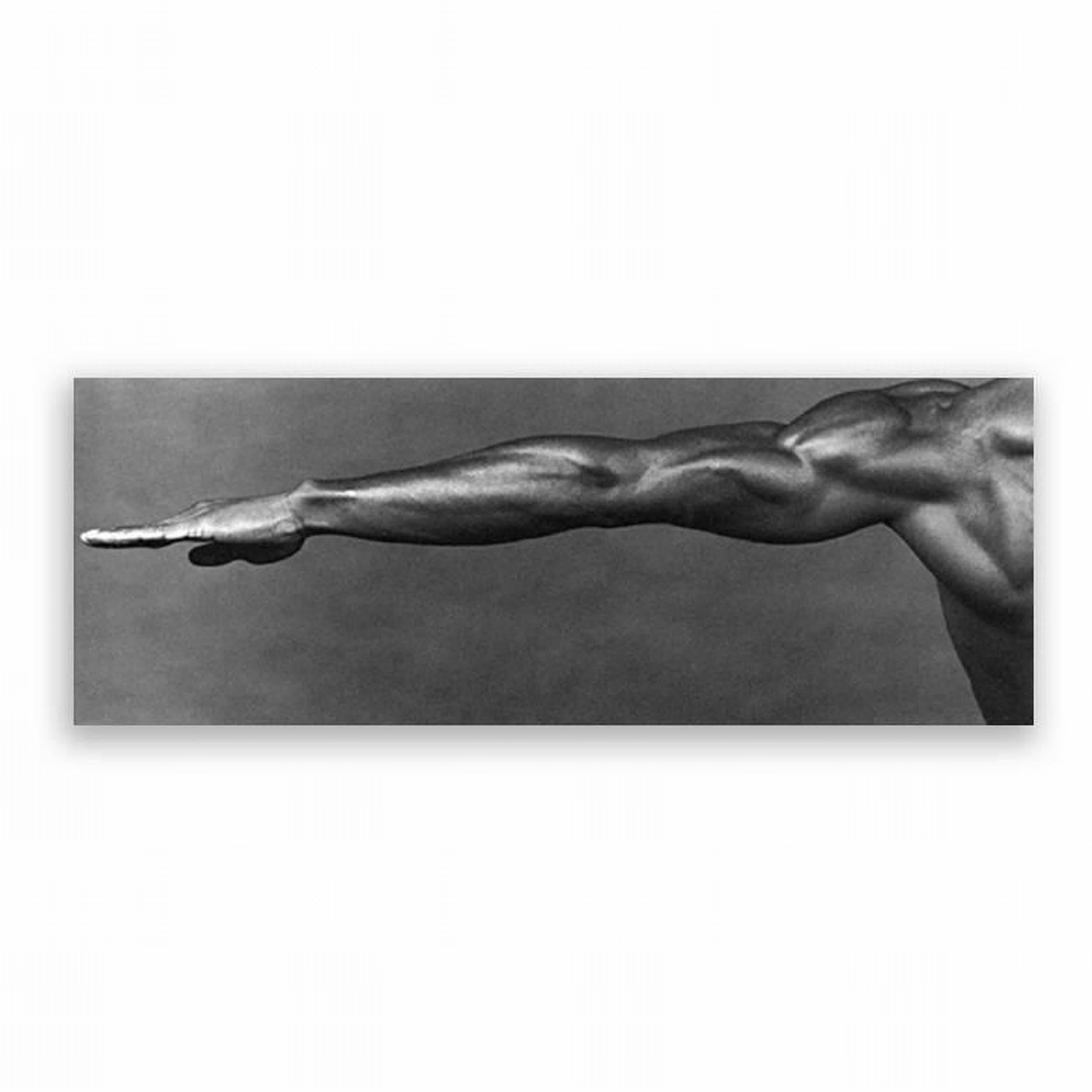 Robert Mapplethorpe - Untitled (Peter Berlin) at 1stDibs | robert