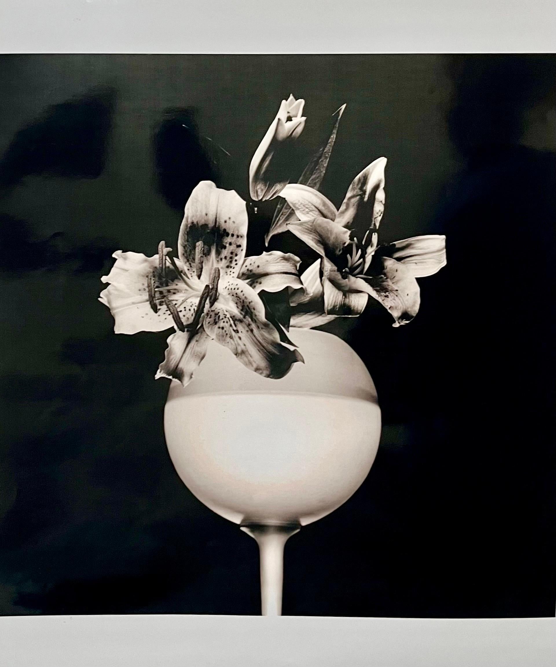 Large Photograph Tiger Lillies Robert Mapplethorpe Silver Gelatin Photo Flowers For Sale 1