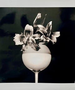 Grande photographie Tiger Lillies Robert Mapplethorpe Silver Gelatin Photo Flowers