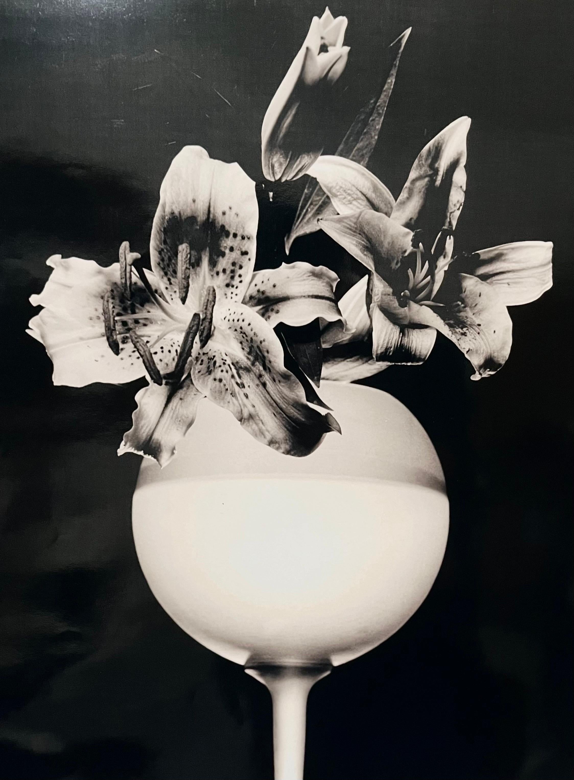 Large Photograph Tiger Lillies Robert Mapplethorpe Silver Gelatin Photo Flowers For Sale 2
