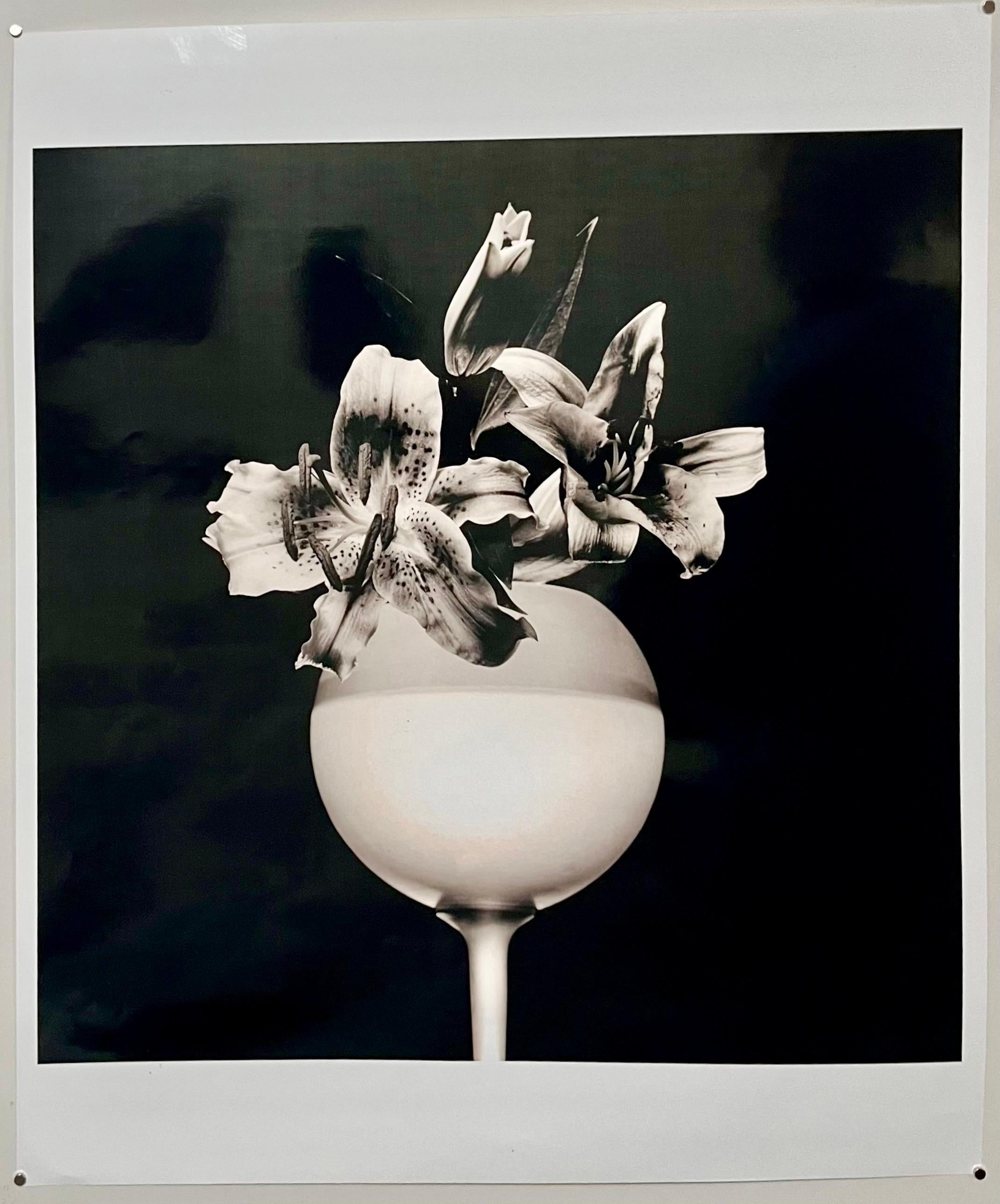 ROBERT MAPPLETHORPE, 1946-1989
'TIGER LILY', 1987

Silver gelatin print
bearing the photographer's copyright stamp on the reverse 
this is not hand signed and there is no edition number. this might be a proof print.
Image 48.7 x 48.7 cm 19⅛x