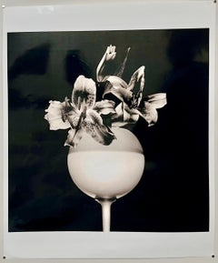 Photographic Paper Still-life Photography