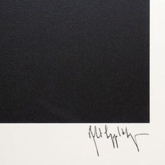 LEIGH LEE / THE Z PORTFOLIO