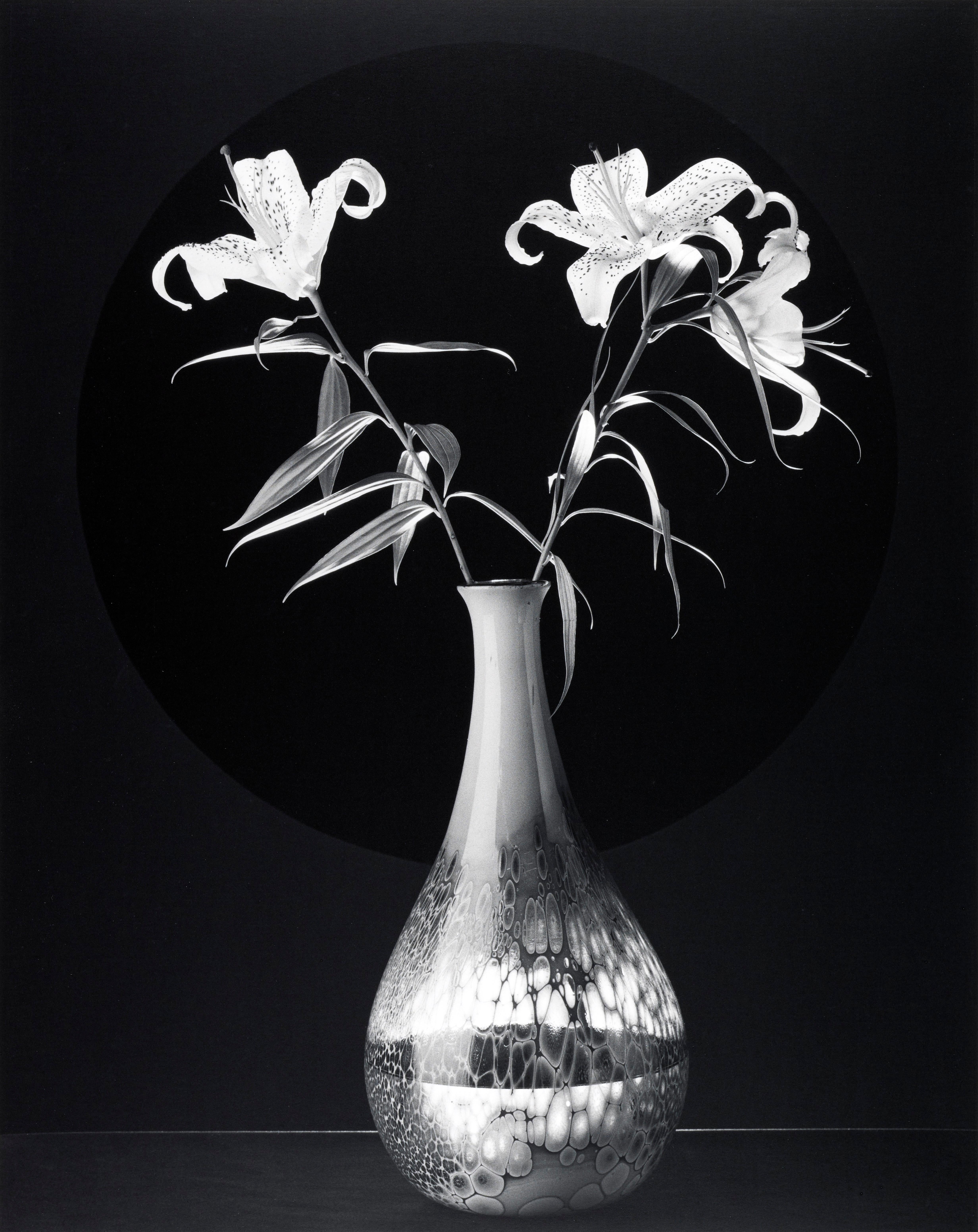 Robert Mapplethorpe Still-Life Photograph - Lilies