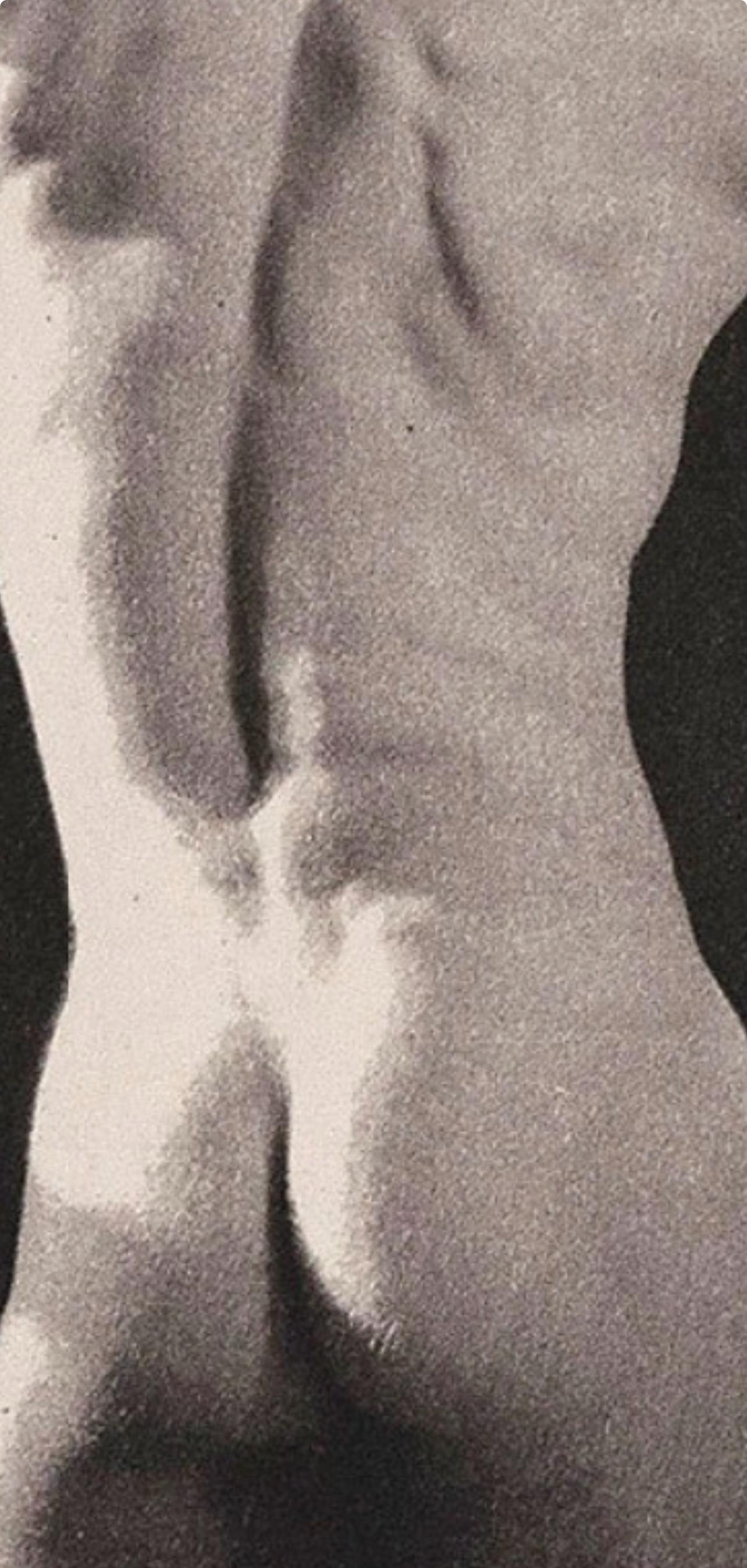 Mapplethorpe, Komposition, Eine Season in Hell (nach) (Zeitgenössisch), Photograph, von Robert Mapplethorpe