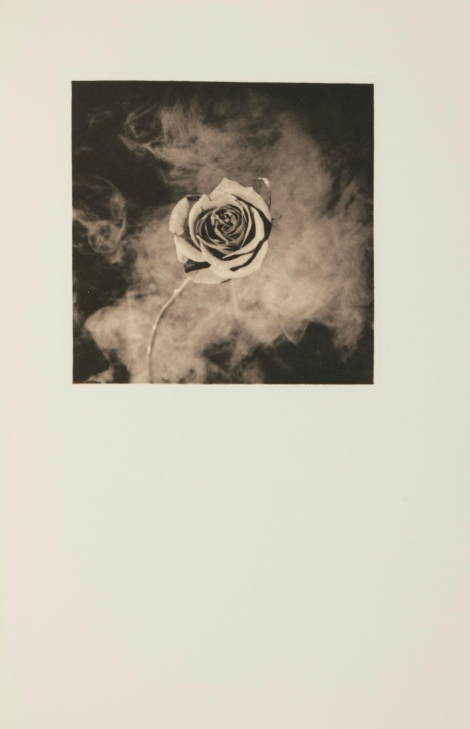 Fotogravüre auf Tiefdruckpapier Cartiere Enrico Magnani à la main, montiert auf Papier Cartiere Enrico Magnani à la main moulé-pressé, wie ausgegeben. Aufschrift: unsigniert und nicht nummeriert, wie ausgegeben. Papierformat: 11,5 x 7,75 Zoll;