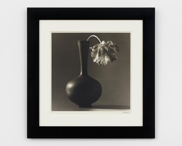 Robert Mapplethorpe Parrot Tulip in Black Vase For Sale at 1stDibs