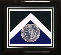 DÓLAR DE PLATA (COLOR)