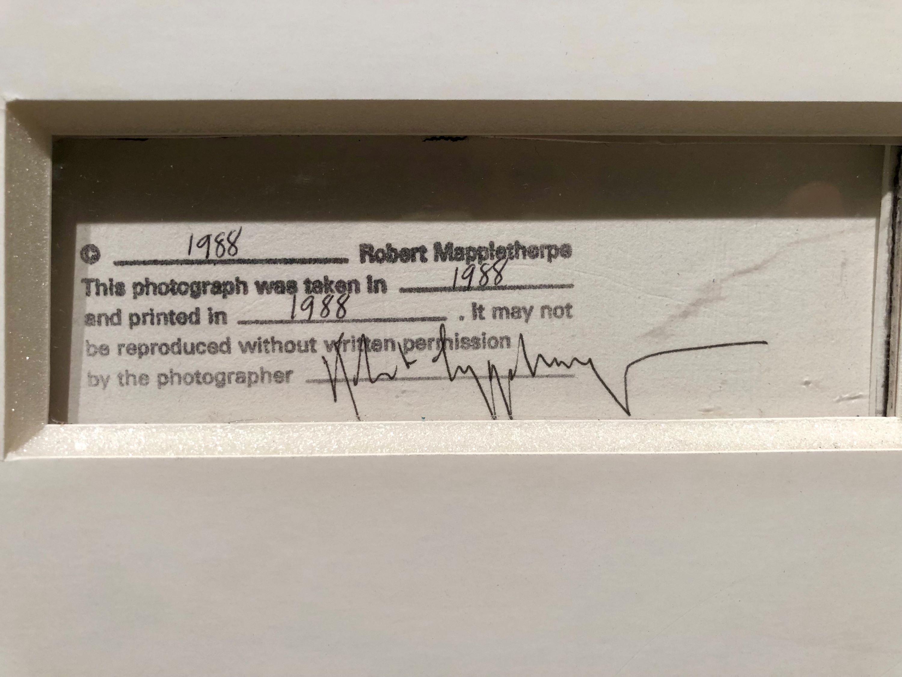 Dólar de plata - Print Contemporáneo de Robert Mapplethorpe