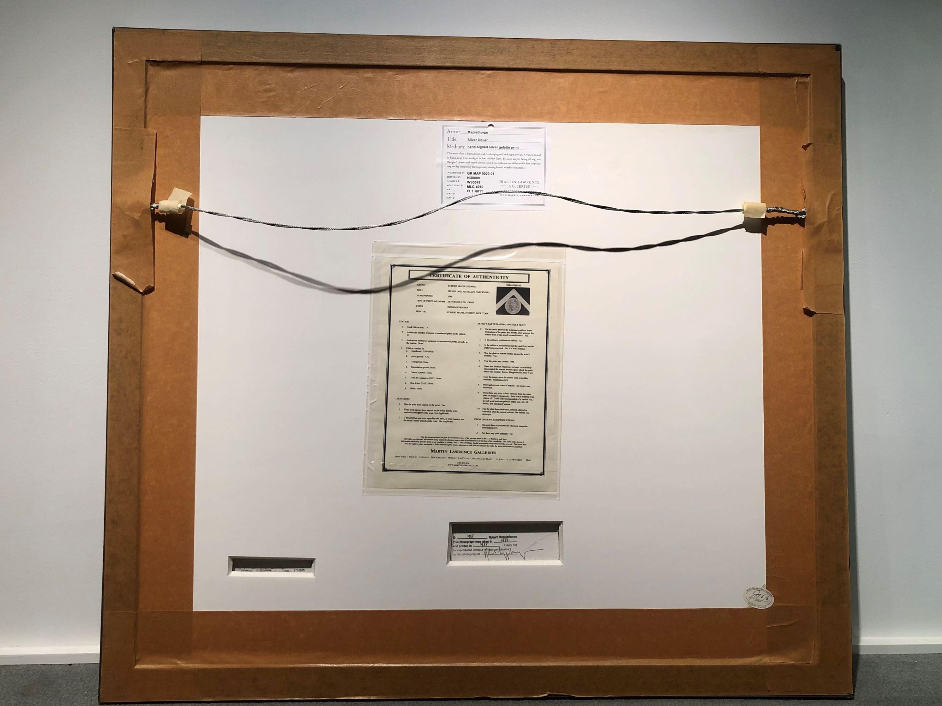 Dólar de plata es una impresión en gelatina de plata sobre papel de Robert Mapplethorpe, titulada, numerada y fechada en el reverso. La estampa está firmada y fechada de nuevo en el reverso con su sello de firma. El tamaño de la imagen es 19,25 x