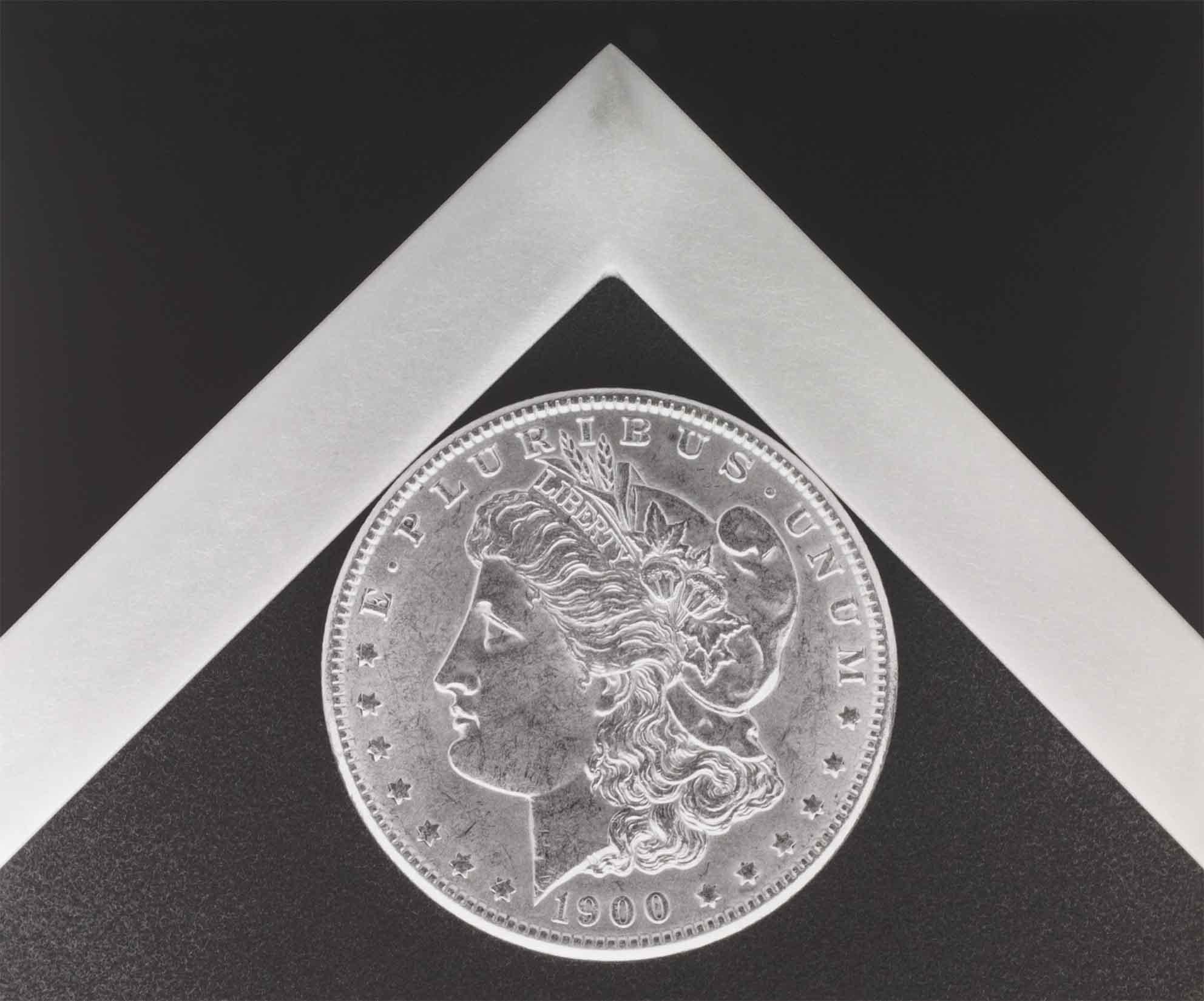 Still-Life Print de Robert Mapplethorpe - Dólar de plata