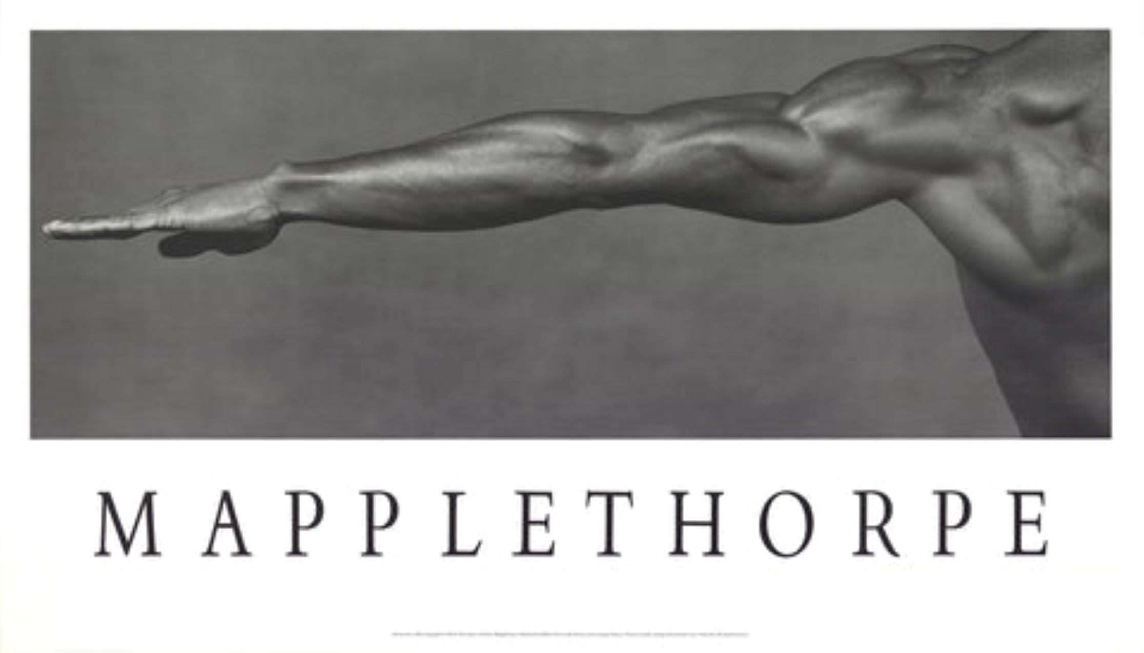 Derrick Cross 

Par Robert Mapplethorpe

1982

Médium : Lithographie offset

Taille du papier : 20.5 x 36 pouces ( 52 x 91 cm )

Taille de l
image : 12.75 x 34 pouces ( 32 x 86 cm )

Taille de l
édition : Inconnu