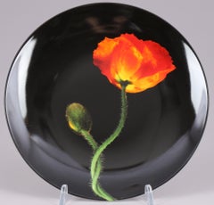 Poppy & Orchid